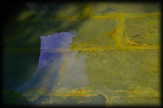 Je me suis regardé dans le miroir et je ne me suis pas reconnu. Je me suis regardé dans le miroir et ne me suis pas reconnu.