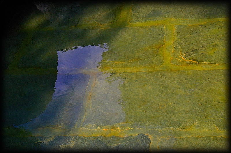 Je me suis regardé dans le miroir et ne me suis pas reconnu.