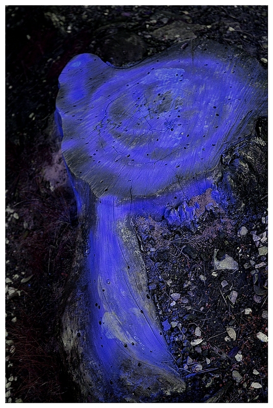 Et j'ai besoin de leur secret.