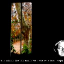 Images entraperçues à travers la vitre embuée d'une fenêtre