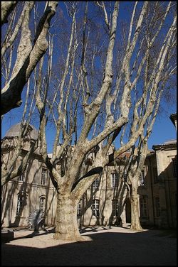 Pour, vertical, tenir dans les remous et la dissolution de soi. A. Pour, vertical, tenir dans les remous et la dissolution de soi.