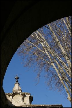 Rien ne se décompose, ni le rythme, ni l'immobilité des arbres envahis d'ombre. B. Rien ne se décompose, ni le rythme, ni l'immobilité des arbres envahis d'ombre.