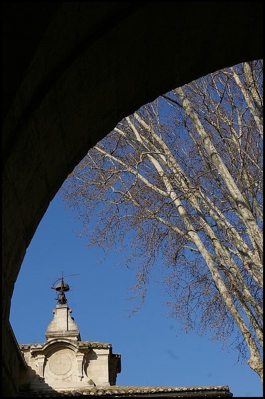 B. Rien ne se décompose, ni le rythme, ni l'immobilité des arbres envahis d'ombre.