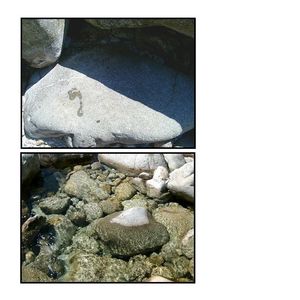 Le vert de gris des jours,<br />
| Et les pierres où jouait tout notre temps promis. Les pierres où jouait tout notre temps promis