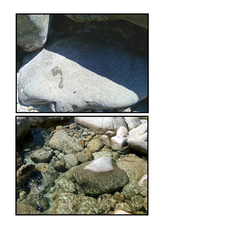 Les pierres où jouait tout notre temps promis