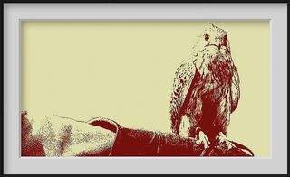 TON OISEAU SUR LE POING