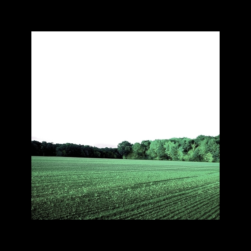 C'est écrit, que les cours des fermages s'en vont grimper