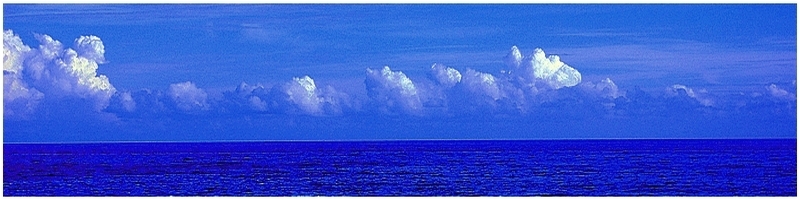 Ma tete est un cerf-volant