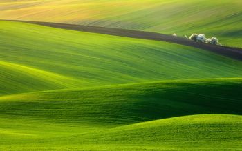 Crayonné paysage. Krzysztof Browko,  Sony World Photography Awards 2012