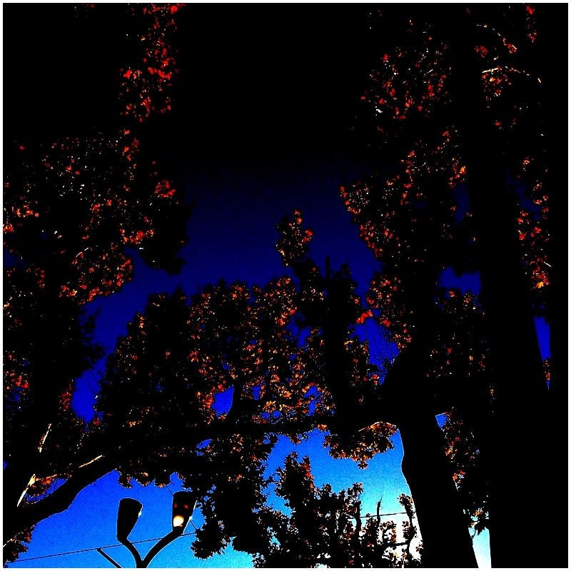 On éclaire le monde avec des bougies