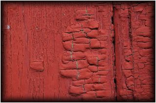 je veux de l’aide pour mes poumons, de l’aide pour la cicatrice qui me gangrène le langage De l'aide pour la cicatrice qui me gangrène le langage