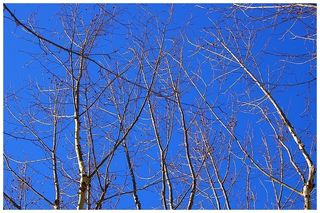 Oggi ventuno marzo Oggi ventuno marzo