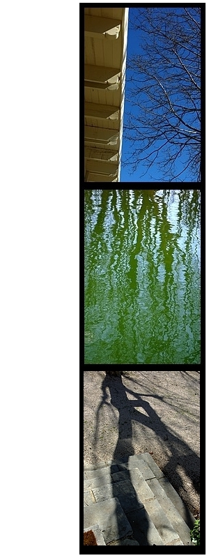 Sophie Loizeau, caudal (1)