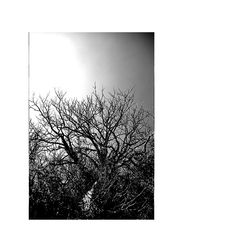 the being of the external whirlwind of leaves 2 the being of the external whirlwind of leaves