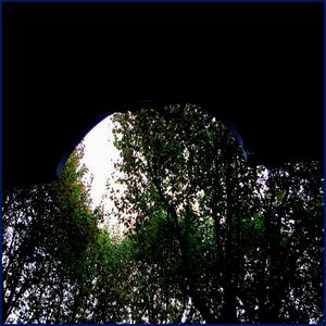 Glissée entre deux organes devenus feuillages Glissée entre deux organes devenus feuillages