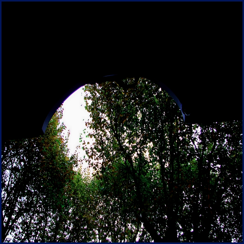 Glissée entre deux organes devenus feuillages