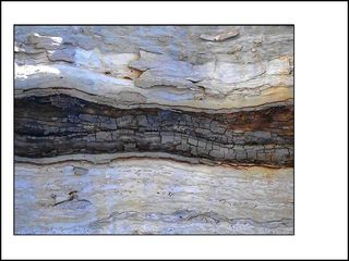 La poésie de Lorine Niedecker fissure le réel autant qu’elle en tire toute sa saveur La poésie de Lorine Niedecker fissure le réel