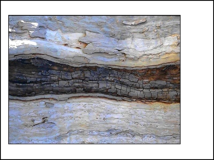 La poésie de Lorine Niedecker fissure le réel