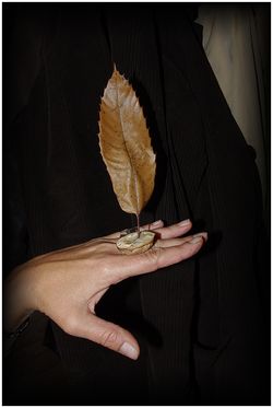 Mais où est-elle ? Mais ou est elle