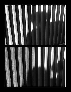 On ne peut coller un nom à toutes ces sonorités internes ni leur donner un visage. Mais elles sont là et se font sentir à tout propos.