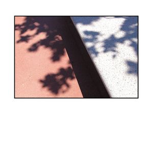 Ce n'est pas tant | L’ombre apprivoisée L'ombre apprivoisée