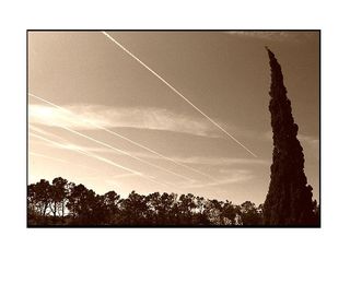 Les pas renouent les fils du paysage Les pas renouent les fils du paysage