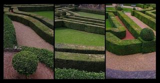 IF A GARDEN OF NUMBERS