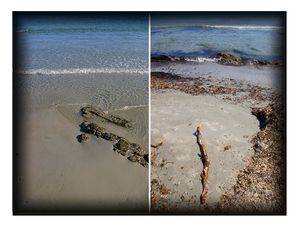 Sur la grève s'attarder Sur la grève s'attarder