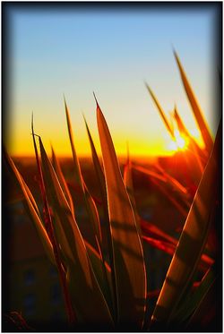 Un tel soir reflétant ce matin-là… Un tel soir reflétant ce matin-là…