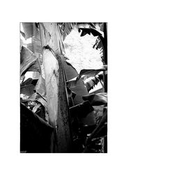 les flammes en guenilles 3 les flammes en guenilles