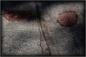 Dans la nuit des pierres Dans la nuit des pierres