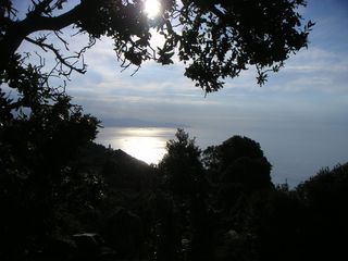 Le soleil va se coucher. C'est l'heure que toutes les deux préfèrent Le soleil va se coucher