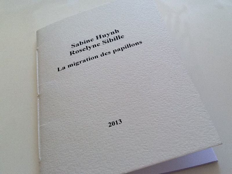 La migration des papillons