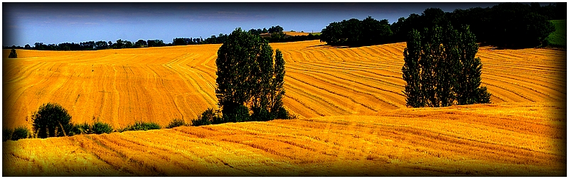 L’espace entre deux champs