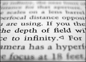 You consider beauty, depth of field, lighting | to understand the field, the crowd. Profondeur de champ - distance de netteté existant avant et après le sujet sur lequel on fait la mise au point.