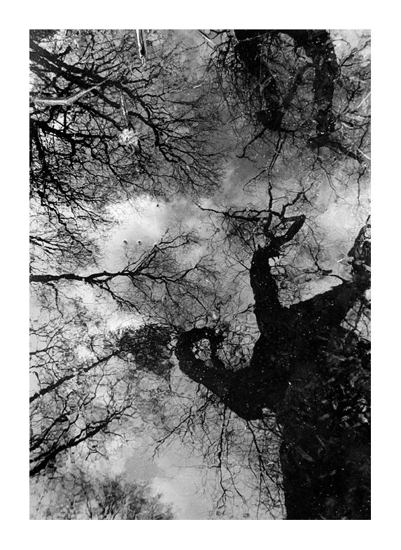 Les anfractuosités de ma petite histoire