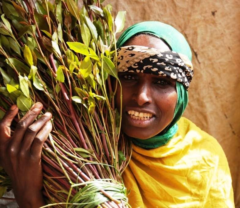 Khat Seller Harar