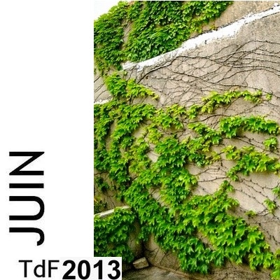 CLIQUER SUR LA PHOTO pour accéder au SOMMAIRE du numéro du mois de juin 2013 Juin 2013