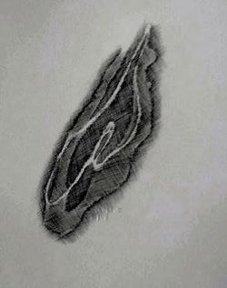 Magali Latil Magali Latil2