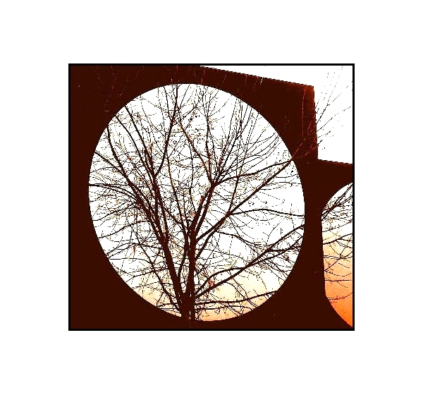 Dans une mort qui est l'arbre.