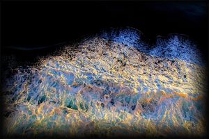 Qui t’a mis visage face au portail de la mer Qui t’a mis visage face au portail de la mer