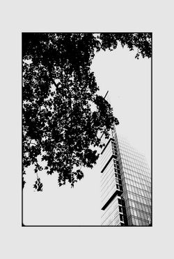 puis une pleine lumière, aveuglante, Puis une pleine lumière, aveuglante,