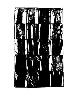 Kikie Crêvecœur, Autoportrait en arbres, La Pierre d’Alun, 2013, page 27 Kikie