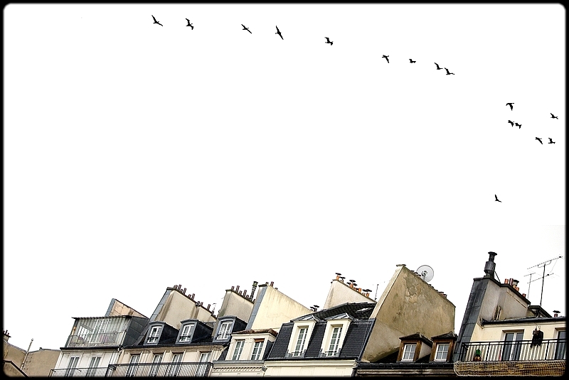 Toute crainte s’envole dans un battement d’ailes