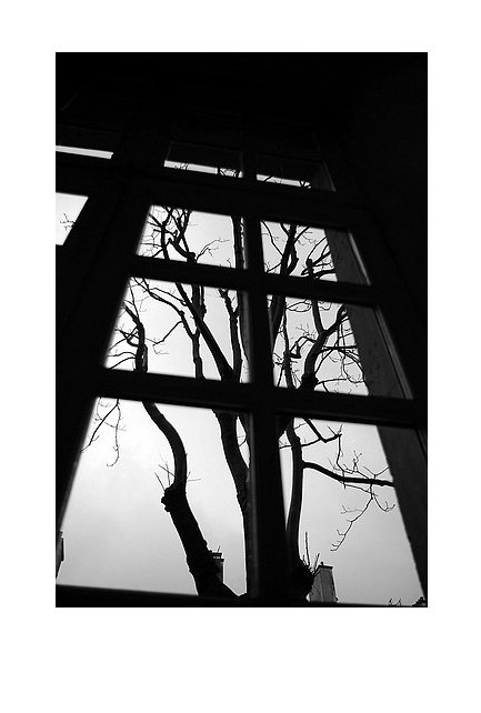 Et la mort est déjà au fond d'une vitre dans un ciel qui ne bouge pas