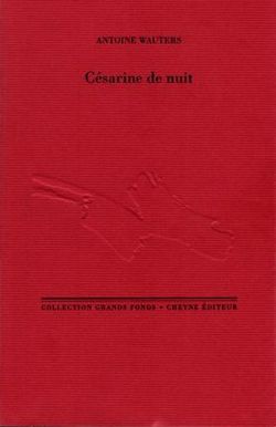 Cesarine-de-nuit-d-antoine-wauters