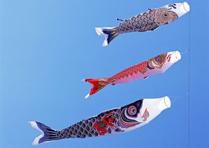 Suivre le poisson, suivre l’oiseau Suivre le poisson, suivre l’oiseau