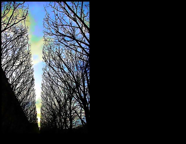 L'être qui se déploie en maints rayons de lumière diaprée