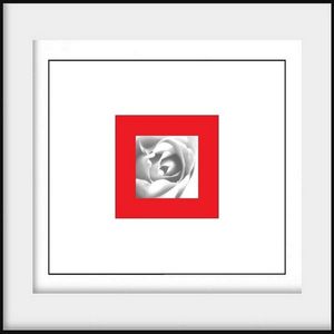 On aimerait s’arrêter là, en apesanteur au-dessus du prisme vertigineux de la couleur. Ni rouge ni blanche mais rouge avec blanc et blanc avec rouge comme un rose