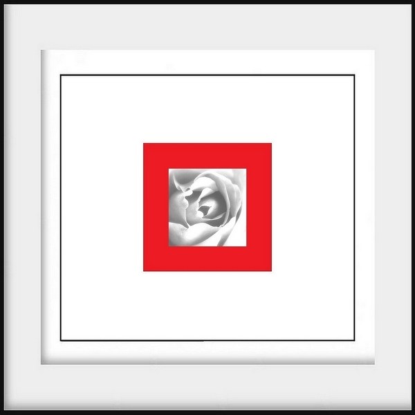 Ni rouge ni blanche mais rouge avec blanc et blanc avec rouge comme un rose